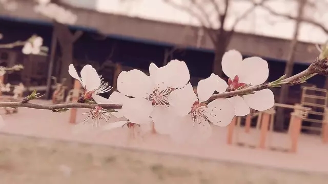 640.webp (23)